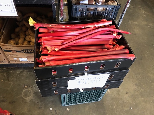 Spring rhubarb!