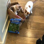 IMG_8362.jpeg