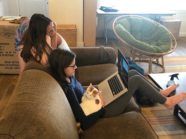 Gizmo snoozing on Lela while she works
