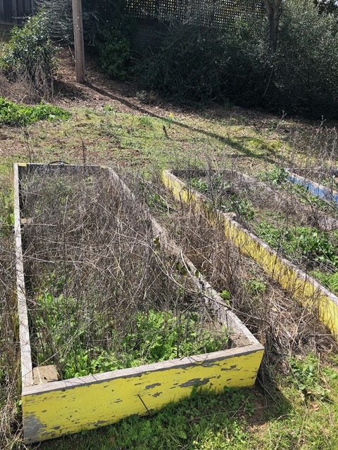 View of the weeds