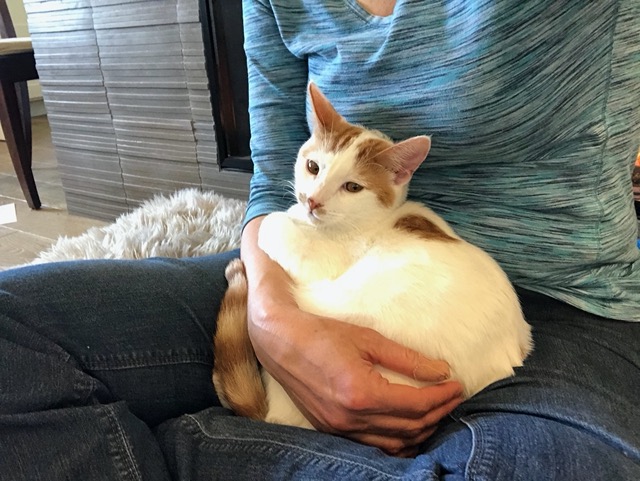He's curled up in a little ball