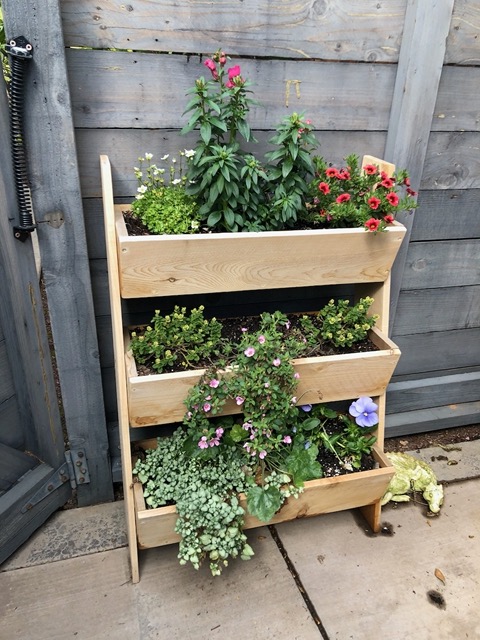 Lela's planter has grown in beautifully