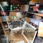 IMG_8395.jpeg