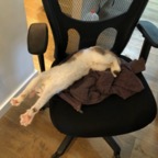 IMG_8401.jpeg