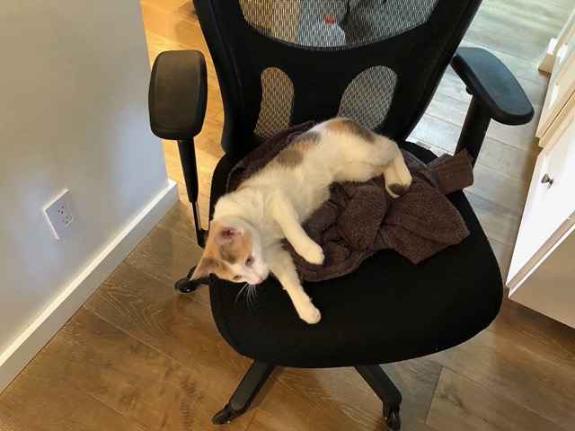 Chair + my purple sweater = the best