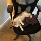 IMG_8402.jpeg
