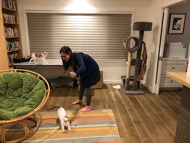 They love this simple new toy