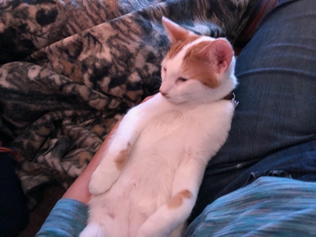 He can't be comfortable