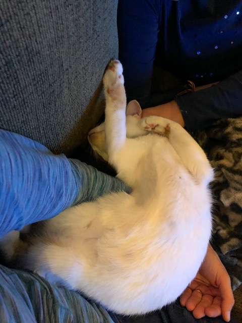 He's basically sleeping sideways across a log