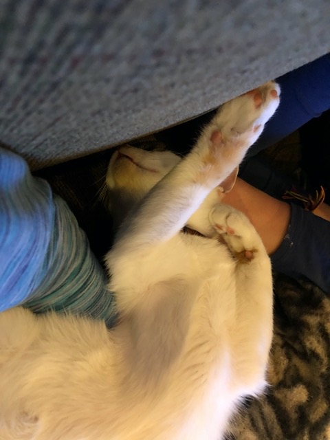 But he's really out