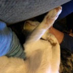 IMG_8418.jpeg