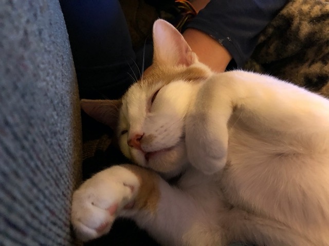 He's out cold