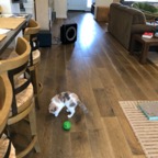 IMG_8436.jpeg