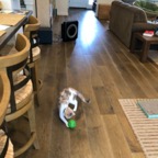 IMG_8437.jpeg