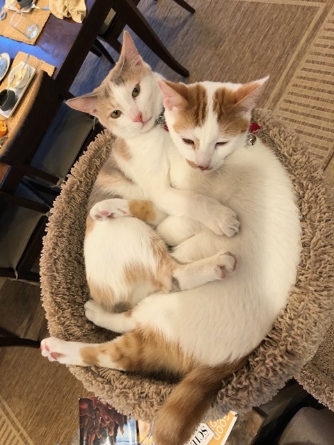 Sleeping together