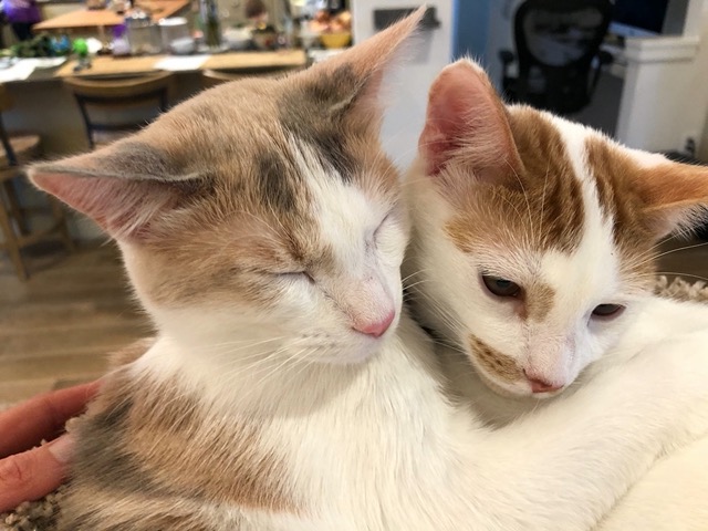 Really, really cute
