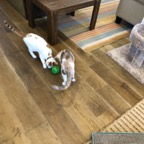IMG_8469.jpeg