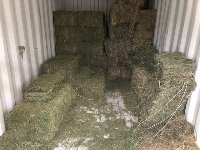 During construction, the hay is in a container by the cows
