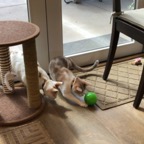 IMG_8486.jpeg
