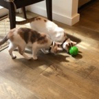 IMG_8490.jpeg