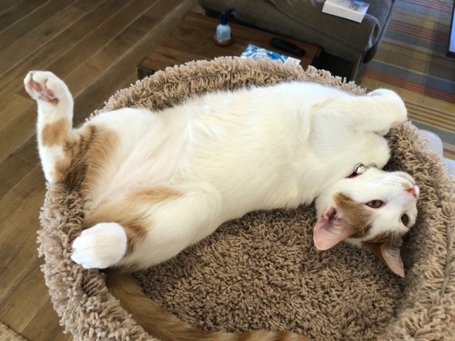 That can't be comfortable