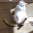 IMG_8518.jpeg