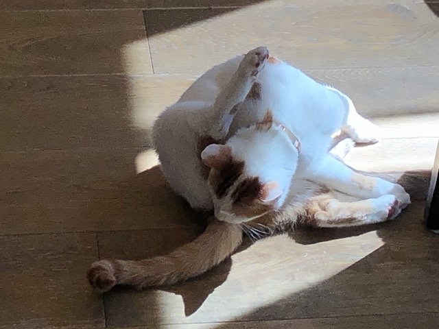 Undignified moment