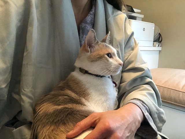 Selfie with Cricket in my lap