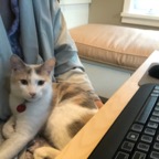 IMG_8555.jpeg