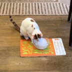 IMG_8589.jpeg