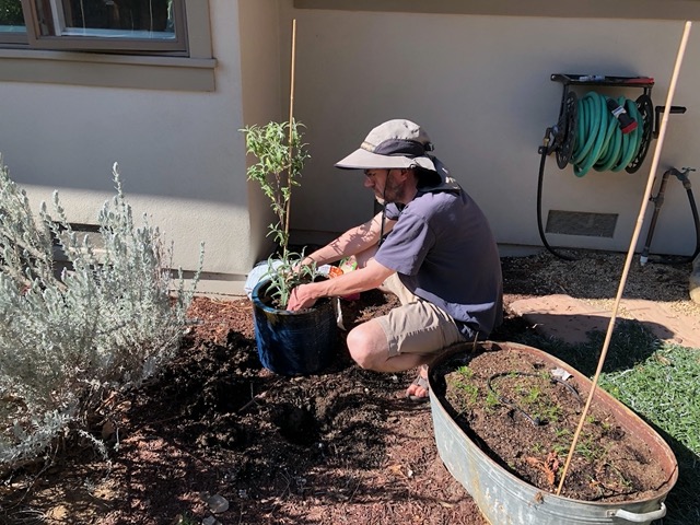 Mike planting the sage from Lela's nook, which didn't like the shade