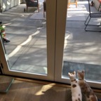 IMG_8607.jpeg