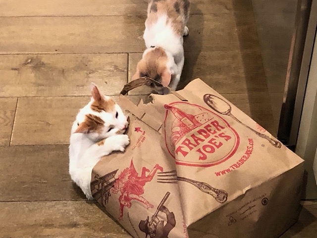 Shredding the bag