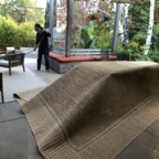 IMG_8650.jpeg