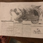 IMG_8654.jpeg
