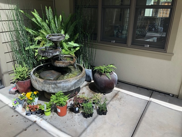 Pots by the fountain, as we figure out where to put them