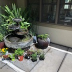 IMG_8678.jpeg