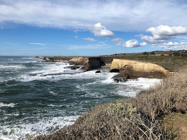 Looking north along the coast