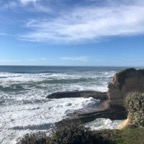IMG_7748.jpeg