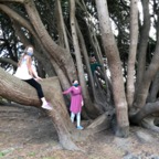 IMG_6240.jpeg