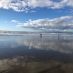 IMG_6250.jpeg