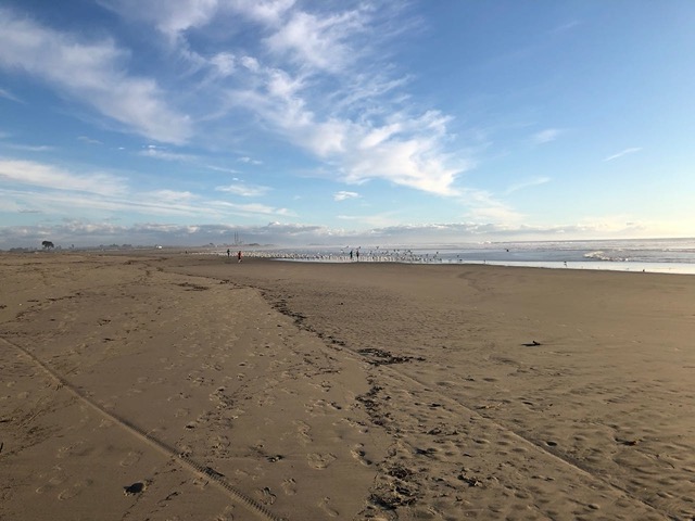 Which is a substantial walk given that we were at Shorebirds