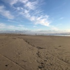 IMG_6256.jpeg