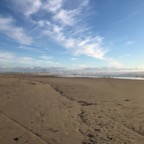 IMG_6258.jpeg