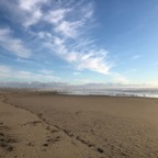 IMG_6259.jpeg