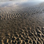 IMG_6262.jpeg