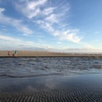 IMG_6264.jpeg