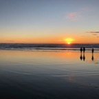IMG_6274.jpeg