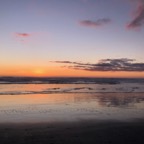 IMG_6276.jpeg