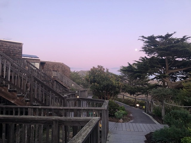 Pajaro at sunset